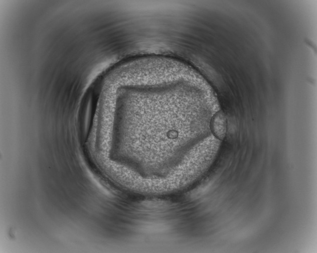 X0000097480630200803141935