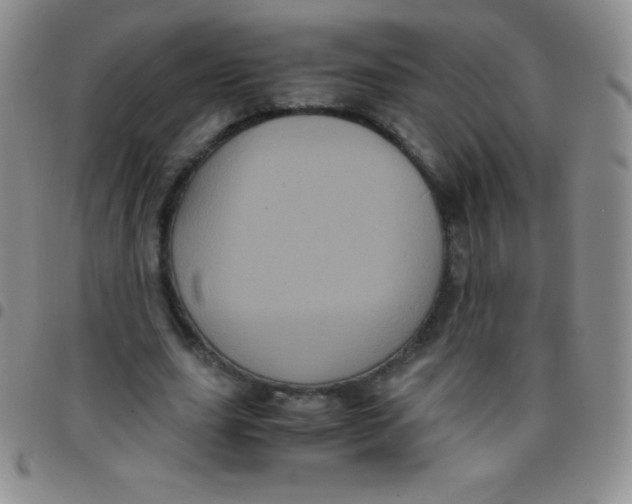 X0000097480631200803141935