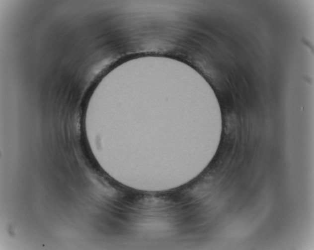 X0000097480632200803141935