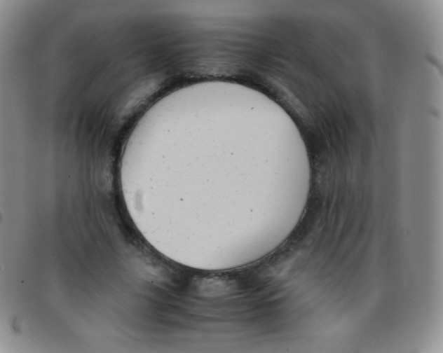 X0000097480635200803141935