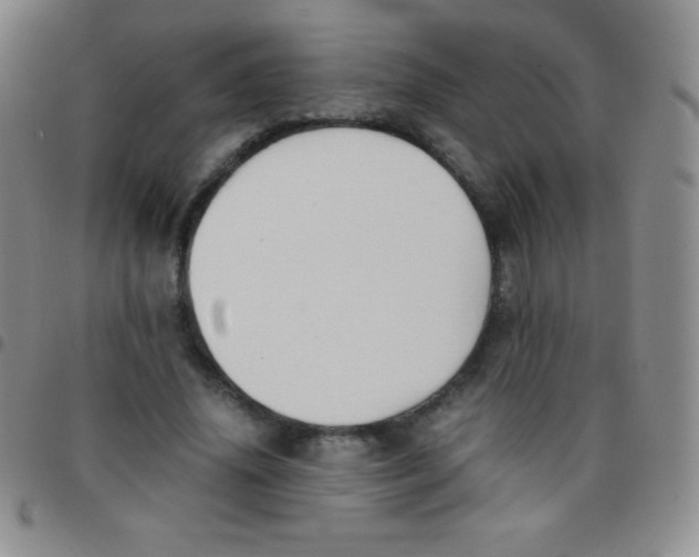 X0000097480636200803141936