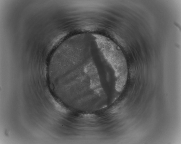 X0000097480637200803141936