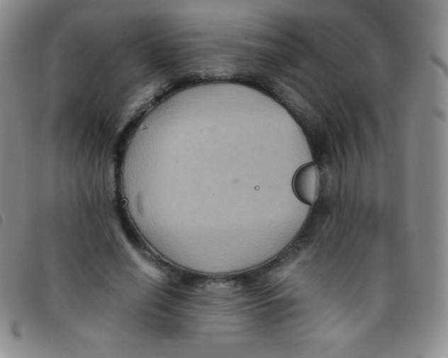 X0000097480638200803141936