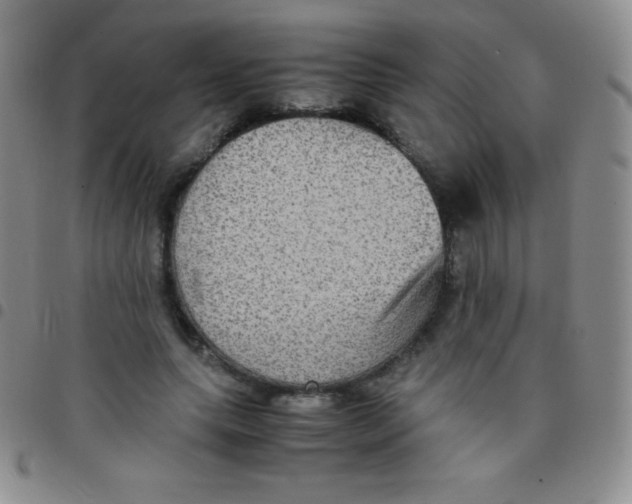 X0000097480639200803141936