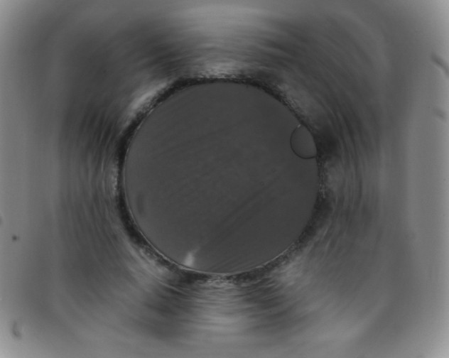 X0000097480640200803141936