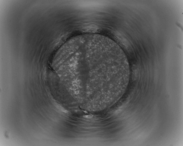 X0000097480641200803141936