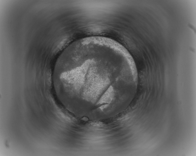 X0000097480642200803141936