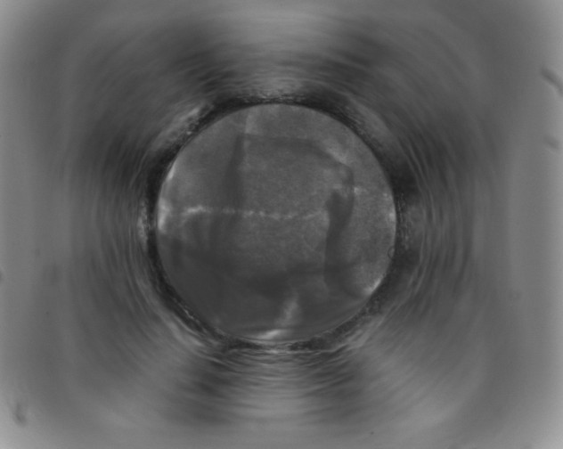 X0000097480644200803141936