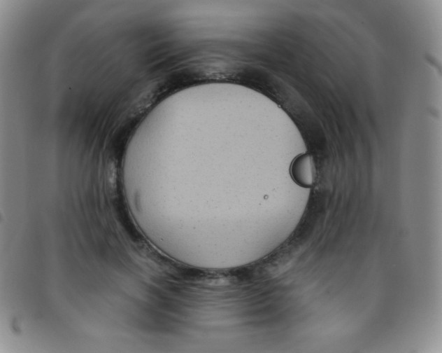 X0000097480646200803141936