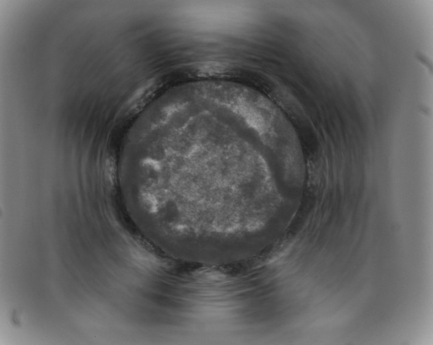 X0000097480648200803141936