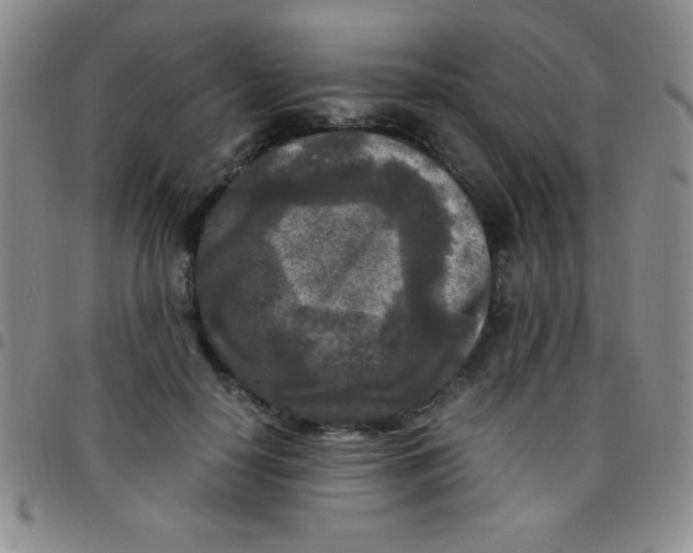 X0000097480650200803141936