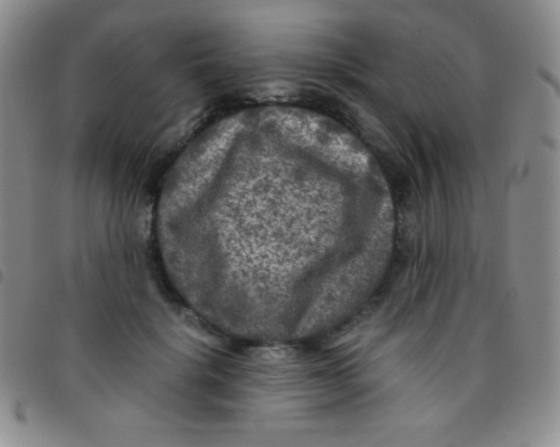 X0000097480652200803141936