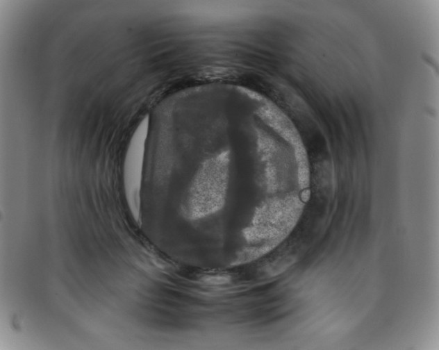 X0000097480653200803141936