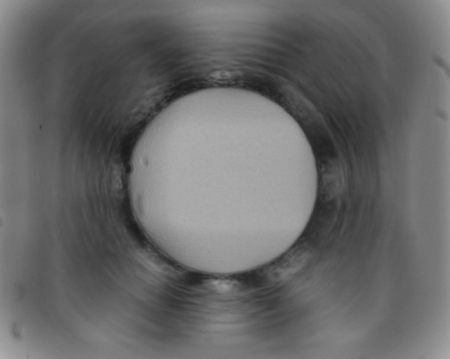 X0000097480654200803141936