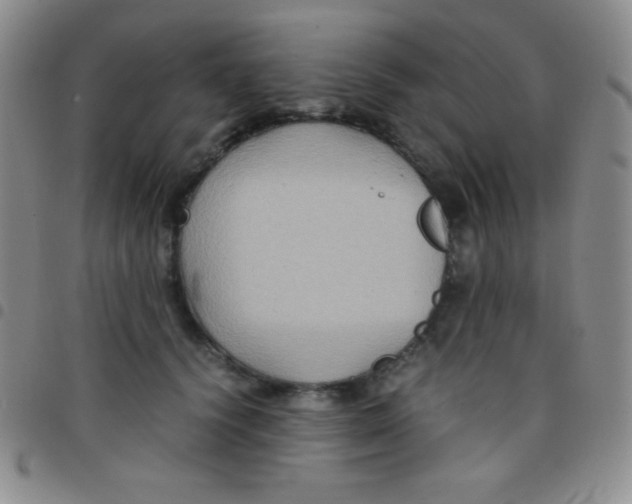 X0000097480656200803141936