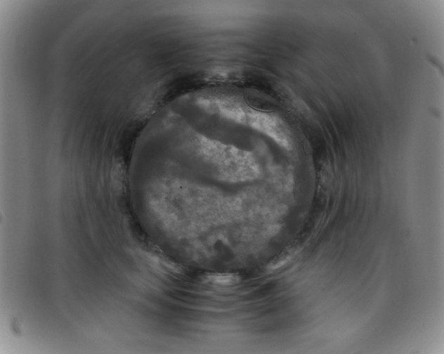 X0000097480659200803141936