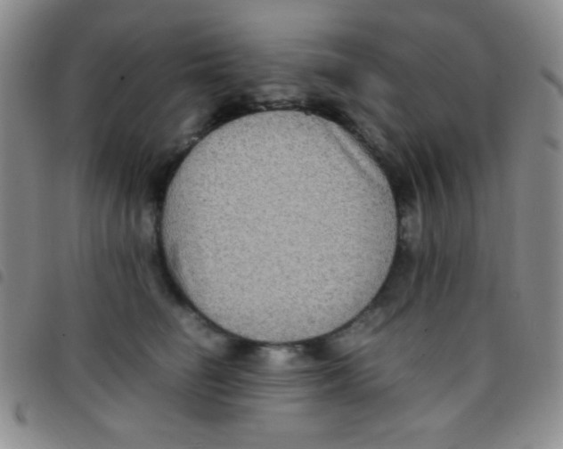 X0000097480662200803141936