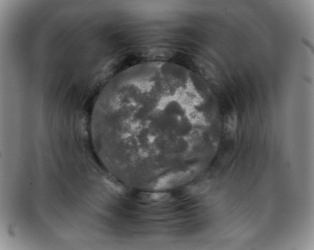 X0000097480663200803141936