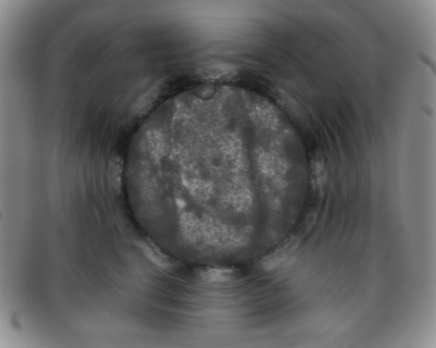 X0000097480664200803141936