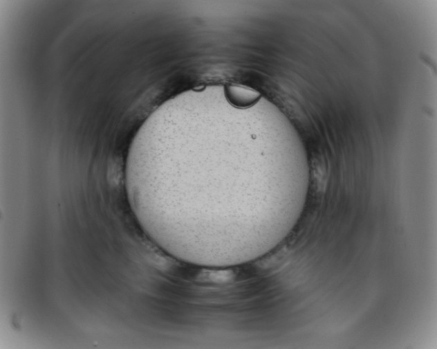 X0000097480665200803141936