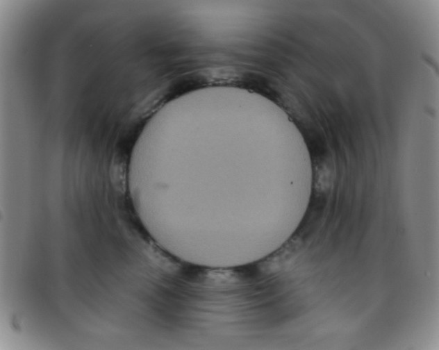 X0000097480666200803141936