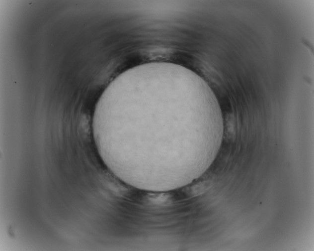 X0000097480667200803141936