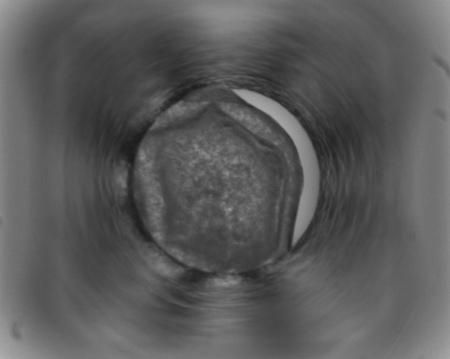 X0000097480668200803141936