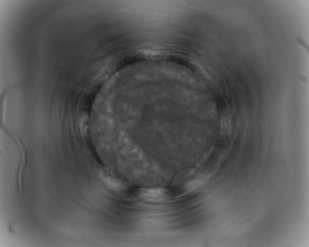 X0000097480671200803141936