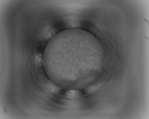 X0000097480672200803141936