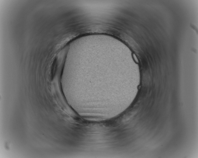 X0000097480673200803141935