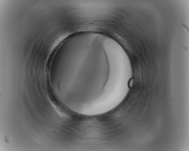 X0000097480674200803141935