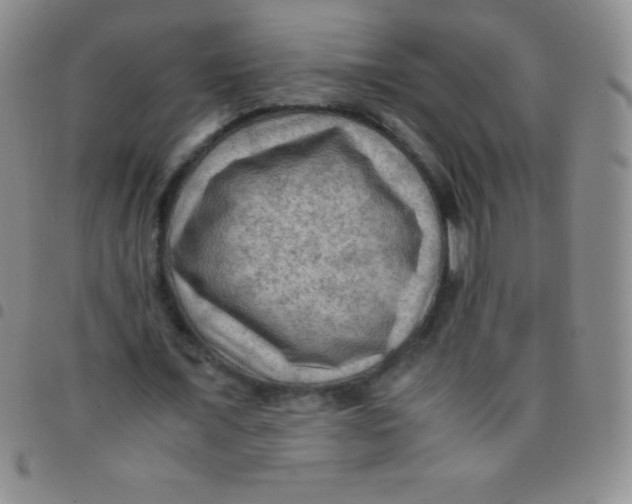 X0000097480675200803141935