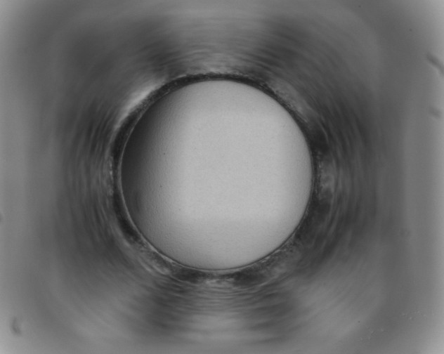 X0000097480680200803141935