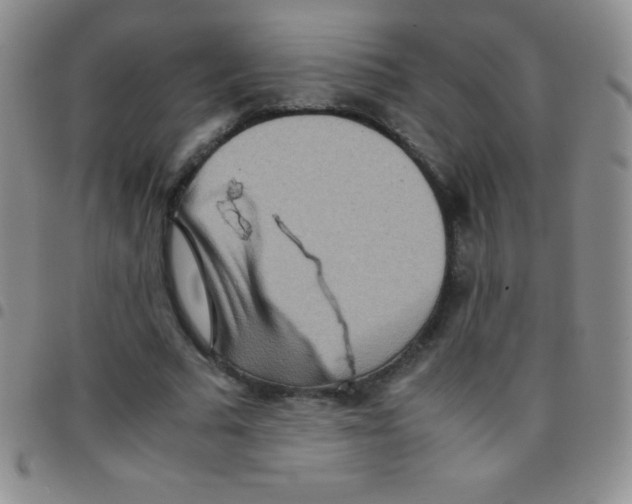 X0000097480681200803141935