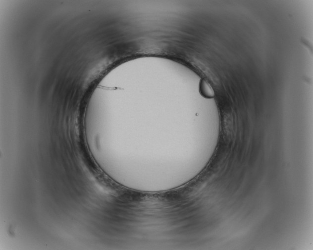 X0000097480682200803141935