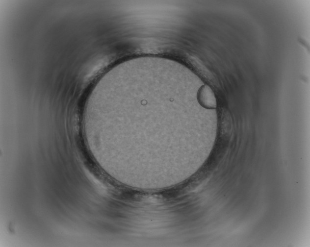 X0000097480683200803141935