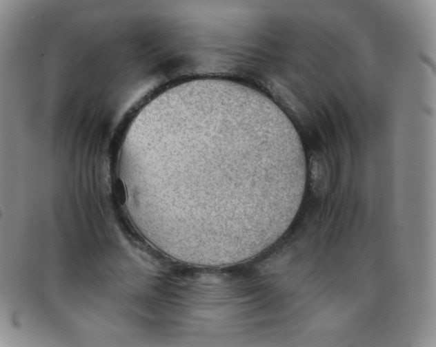 X0000097480684200803141935