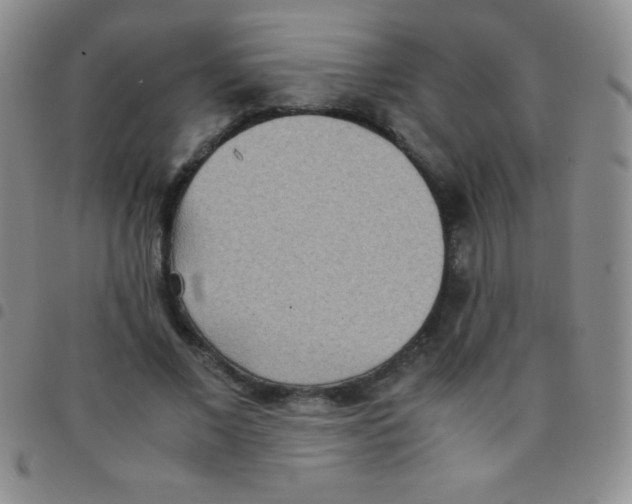 X0000097480685200803141935