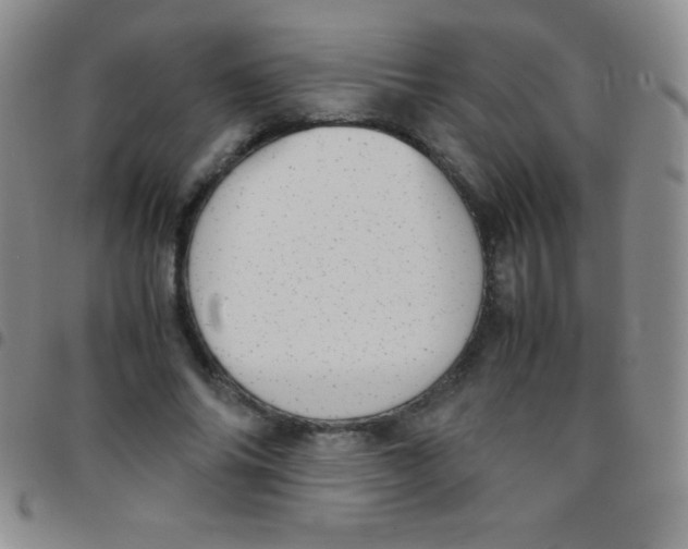 X0000097480686200803141935