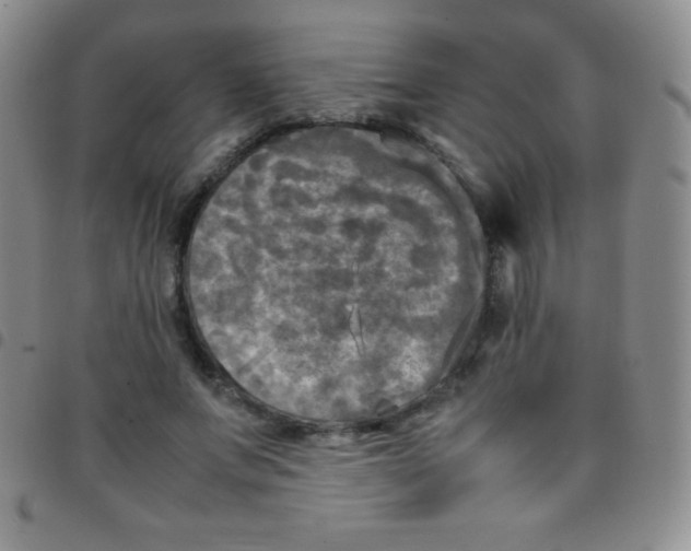 X0000097480687200803141935