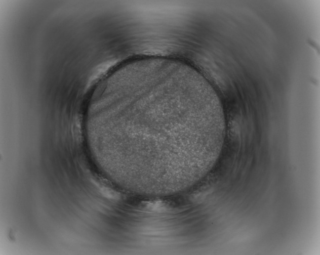 X0000097480688200803141935