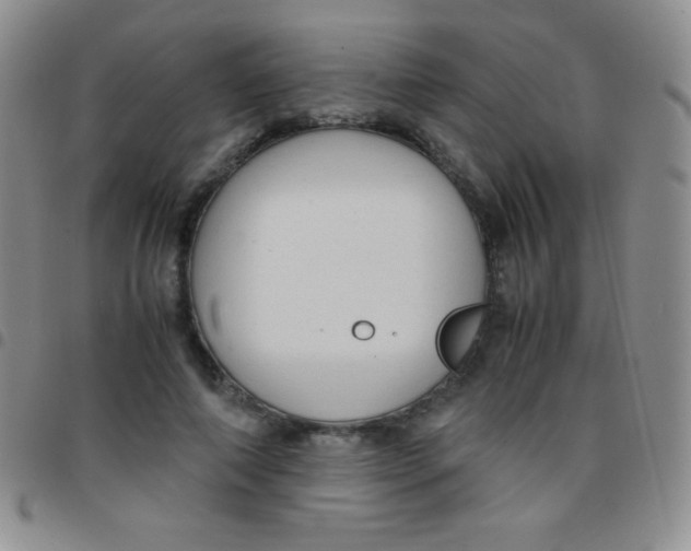 X0000097480690200803141935