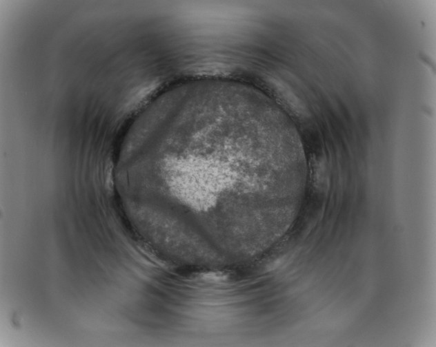 X0000097480692200803141935