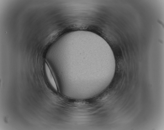 X0000097480693200803141935