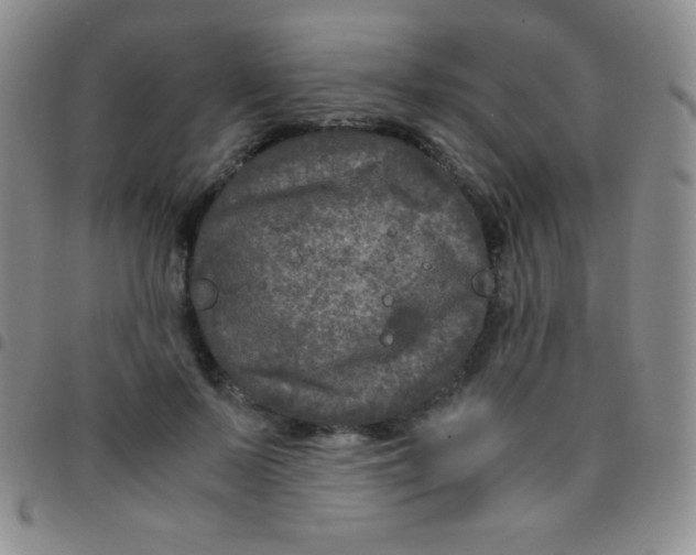 X0000097480695200803141935