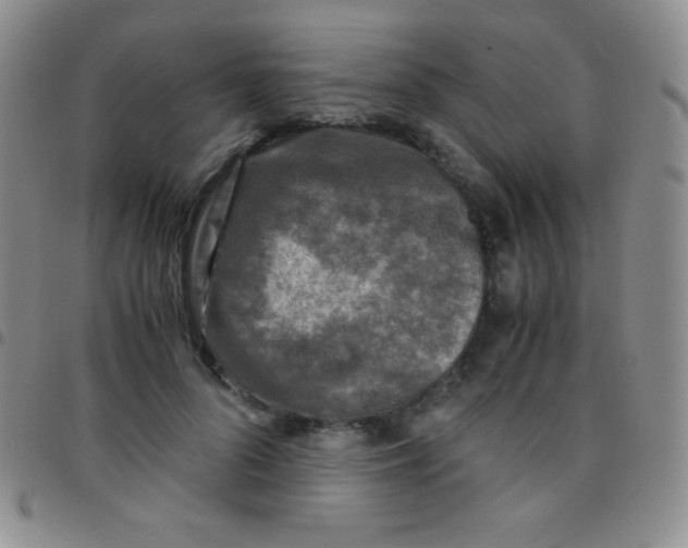 X0000097480696200803141935