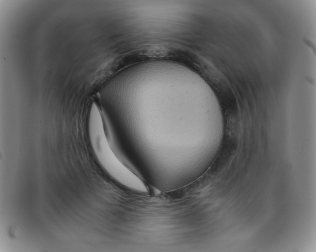 X0000097480697200803141935