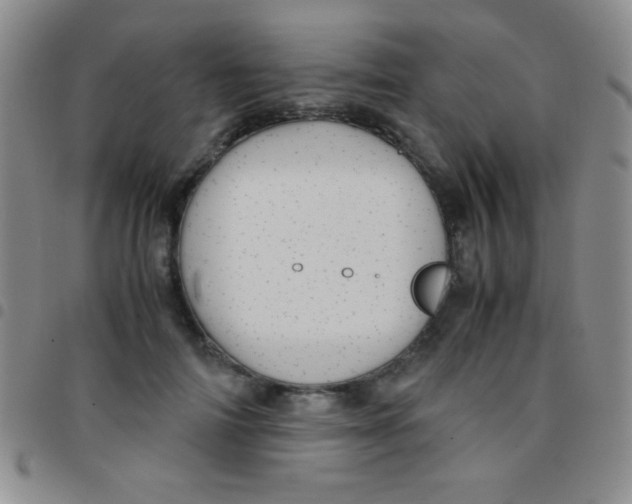 X0000097480698200803141935