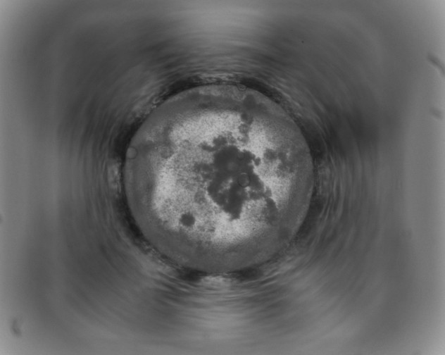 X0000097480699200803141935