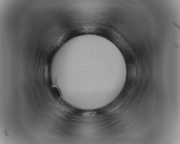 X0000097480700200803141935